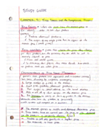 EXAM 3 STUDY GUIDE