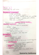 Bio Class Notes Week 10