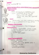 Bio Class Notes Week 13