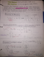 Organic Chemistry 1 - Rivera - Classnotes 11/10