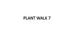 Lab Walks 7 and 8 Info