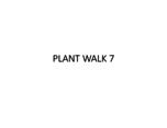 Lab Walks 7 and 8 Info