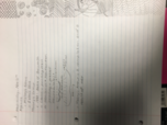 Week 12 Notes 