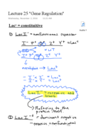 Lecture 25 Gene Regulation