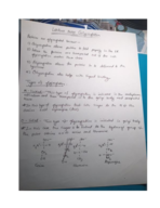 401 notes: Glycosylation