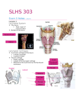 SLHS 303, Exam 3 Study Guide