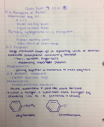 Chem121 Exam 4