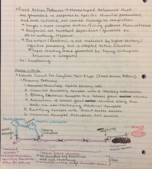 Neuro bio week 8