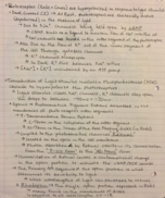 Sensory Phys Notes week 8