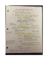 ACCT225, Chapter 1 Notes