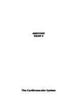 Exam 3 Study Guide