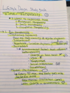 Hand Written study guide