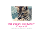 Web Media Design Exam 3 Study Guide