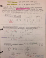 Organic Chemistry 1 - Dr. Rivera - Exam 4 Study guide 