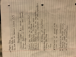 Mgmt 340  negotiation and culture 