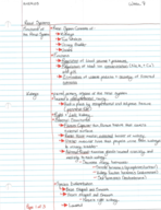 ANEQ105 Renal and Repro Systems