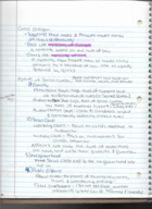 Chapter 5 part 4 notes