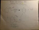 Alc Dehydration Mechanism E1/E2 - Organic Chem 1 - Exam 4 - Rivera