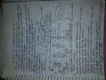 Chapter 19 reproductive system 
