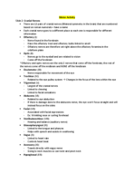 Motor Activity PPT