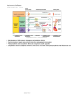 Autonomic Reflexes
