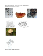 Biology 111