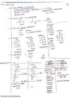 Final Study Guide 
