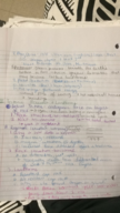 Week 13 Notes