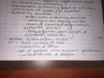 Sociology Final Notes