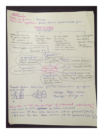 Biology Final Exam Study guide