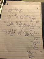Orgo 2 Final Study Guide