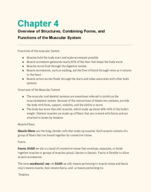 MEDA 120 - Detailed Notes for Chapter 4