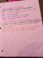 Study Guide FOR THE FINAL 