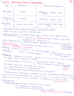 Final exam - sum of ideas 