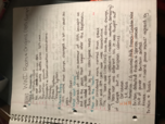 IAH 202 Study Guide 