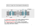 cell bio
