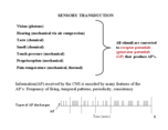 cell bio