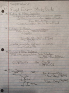 Final Exam Study Guide