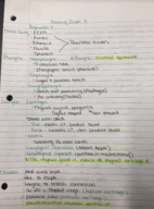 Anatomy 113 Final Exam