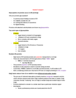 Exam_4_Study_Guide.pdf