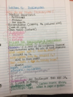 Final Exam: Biology 