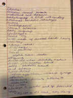 horse behavior: part 1