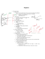 Chem 110 Study Guide