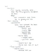 Anatomy Head and Neck Notes