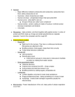 Biology 110 Test 2 - Organelles, Transport and Cellular Respiration