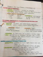 mic-1 ch.1 book notes