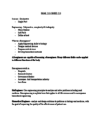 Lecture 1 Notes