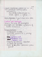 Week 1 Notes