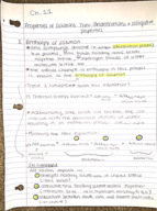 First notes for Chapter 11