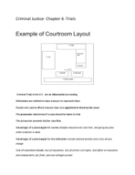 Criminal Justice Chapter 6 - Courts